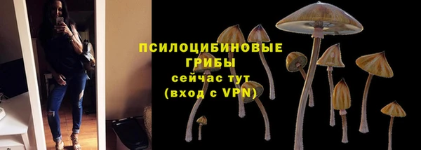молекула духа Белокуриха
