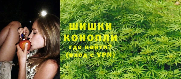 spice Беломорск