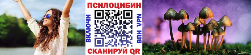 магазин продажи   даркнет какой сайт  Галлюциногенные грибы Cubensis  Боготол  hydra маркетплейс 